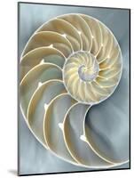 Nautilus in Blue I-Caroline Kelly-Mounted Art Print