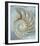 Nautilus in Blue II-Caroline Kelly-Framed Giclee Print