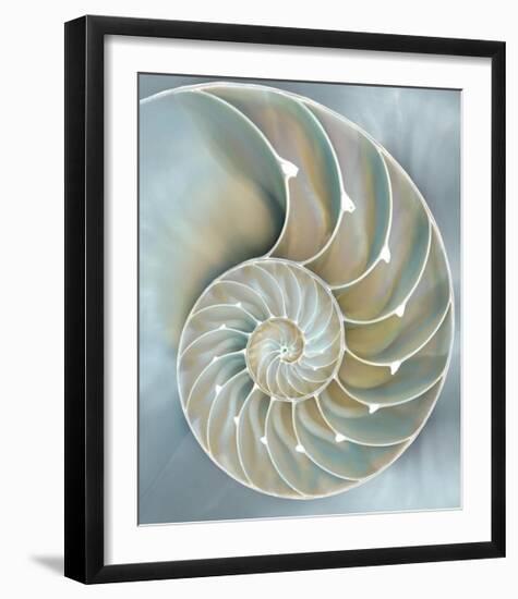 Nautilus in Blue II-Caroline Kelly-Framed Giclee Print
