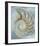 Nautilus in Blue II-Caroline Kelly-Framed Giclee Print