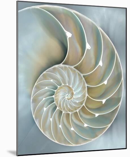 Nautilus in Blue II-Caroline Kelly-Mounted Giclee Print