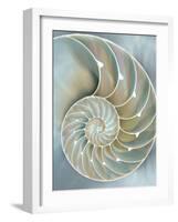 Nautilus in Blue II-Caroline Kelly-Framed Art Print