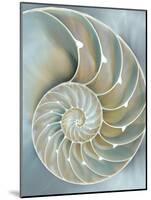 Nautilus in Blue II-Caroline Kelly-Mounted Art Print