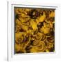 Nautilus in Gold II-Sharon Gordon-Framed Art Print