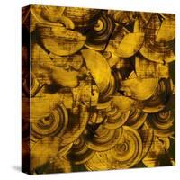 Nautilus in Gold II-Sharon Gordon-Stretched Canvas