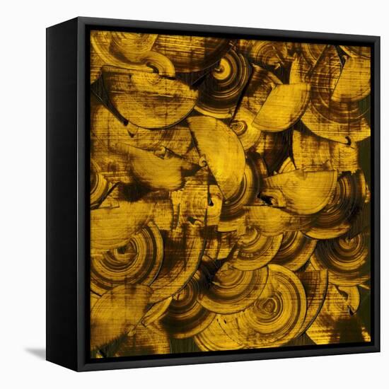 Nautilus in Gold II-Sharon Gordon-Framed Stretched Canvas