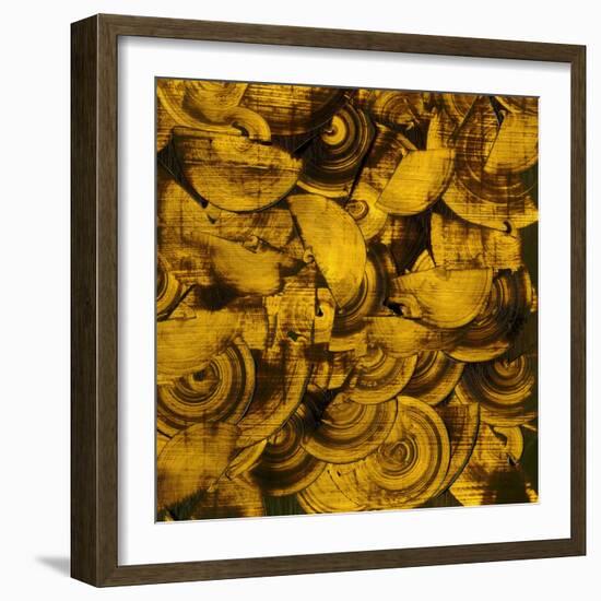 Nautilus in Gold II-Sharon Gordon-Framed Art Print