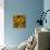 Nautilus in Gold II-Sharon Gordon-Premium Giclee Print displayed on a wall