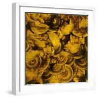 Nautilus in Gold II-Sharon Gordon-Framed Premium Giclee Print