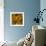 Nautilus in Gold II-Sharon Gordon-Framed Premium Giclee Print displayed on a wall