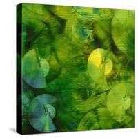 Nautilus in Green II-Sharon Gordon-Stretched Canvas