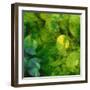 Nautilus in Green II-Sharon Gordon-Framed Art Print