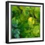 Nautilus in Green II-Sharon Gordon-Framed Art Print