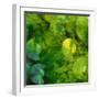 Nautilus in Green II-Sharon Gordon-Framed Art Print