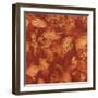 Nautilus in Rust I-Sharon Gordon-Framed Art Print