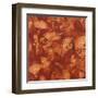 Nautilus in Rust I-Sharon Gordon-Framed Art Print