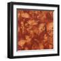 Nautilus in Rust I-Sharon Gordon-Framed Art Print