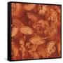 Nautilus in Rust II-Sharon Gordon-Framed Stretched Canvas