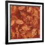 Nautilus in Rust II-Sharon Gordon-Framed Art Print