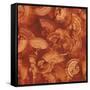 Nautilus in Rust II-Sharon Gordon-Framed Stretched Canvas