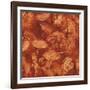 Nautilus in Rust II-Sharon Gordon-Framed Art Print