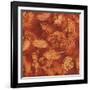 Nautilus in Rust II-Sharon Gordon-Framed Art Print