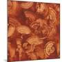 Nautilus in Rust II-Sharon Gordon-Mounted Art Print