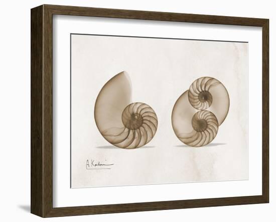 Nautilus Moments-Albert Koetsier-Framed Art Print