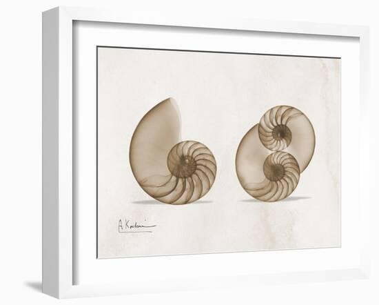 Nautilus Moments-Albert Koetsier-Framed Art Print