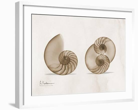 Nautilus Moments-Albert Koetsier-Framed Art Print