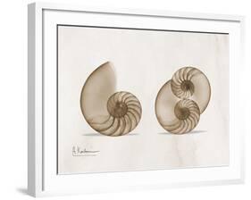 Nautilus Moments-Albert Koetsier-Framed Art Print