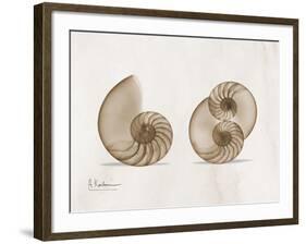 Nautilus Moments-Albert Koetsier-Framed Art Print