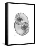 Nautilus Pair 2-Albert Koetsier-Framed Stretched Canvas