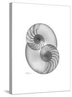 Nautilus Pair 2-Albert Koetsier-Stretched Canvas