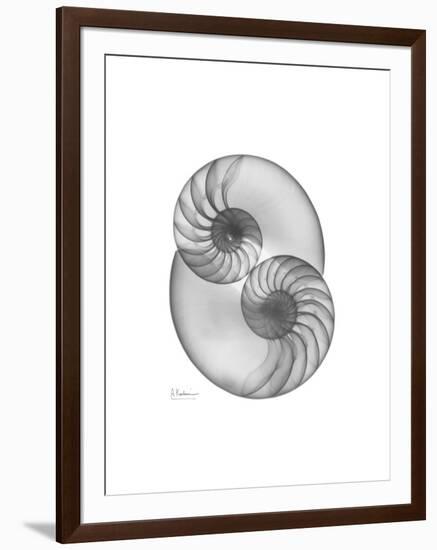 Nautilus Pair 2-Albert Koetsier-Framed Premium Giclee Print