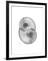 Nautilus Pair 2-Albert Koetsier-Framed Premium Giclee Print