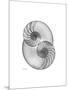 Nautilus Pair 2-Albert Koetsier-Mounted Premium Giclee Print