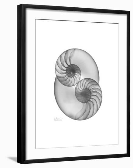 Nautilus Pair 2-Albert Koetsier-Framed Premium Giclee Print