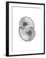 Nautilus Pair 2-Albert Koetsier-Framed Premium Giclee Print