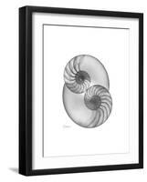 Nautilus Pair 2-Albert Koetsier-Framed Premium Giclee Print