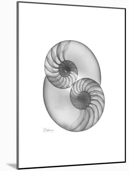 Nautilus Pair 2-Albert Koetsier-Mounted Premium Giclee Print