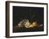 Nautilus Shell, a Roemer Beer Glass, an Orange and a Lemon on a Pewter Plate-Christiaen Luyckx-Framed Giclee Print