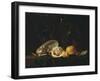 Nautilus Shell, a Roemer Beer Glass, an Orange and a Lemon on a Pewter Plate-Christiaen Luyckx-Framed Giclee Print