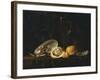 Nautilus Shell, a Roemer Beer Glass, an Orange and a Lemon on a Pewter Plate-Christiaen Luyckx-Framed Giclee Print