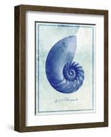 Nautilus Shell B-GI ArtLab-Framed Giclee Print