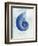 Nautilus Shell B-GI ArtLab-Framed Giclee Print