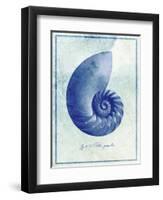 Nautilus Shell B-GI ArtLab-Framed Giclee Print