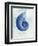 Nautilus Shell B-GI ArtLab-Framed Giclee Print