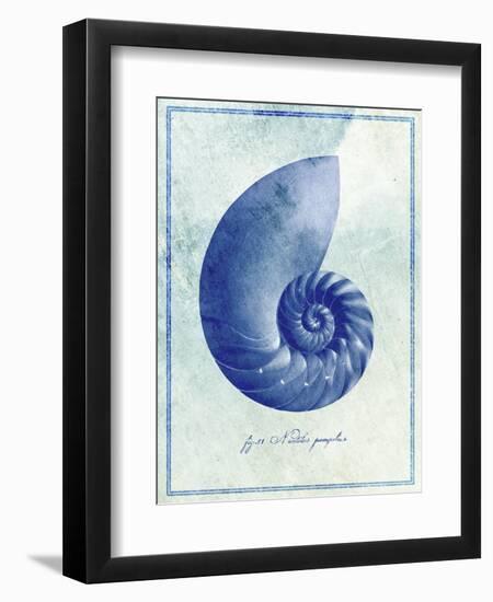 Nautilus Shell B-GI ArtLab-Framed Giclee Print