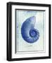 Nautilus Shell B-GI ArtLab-Framed Giclee Print